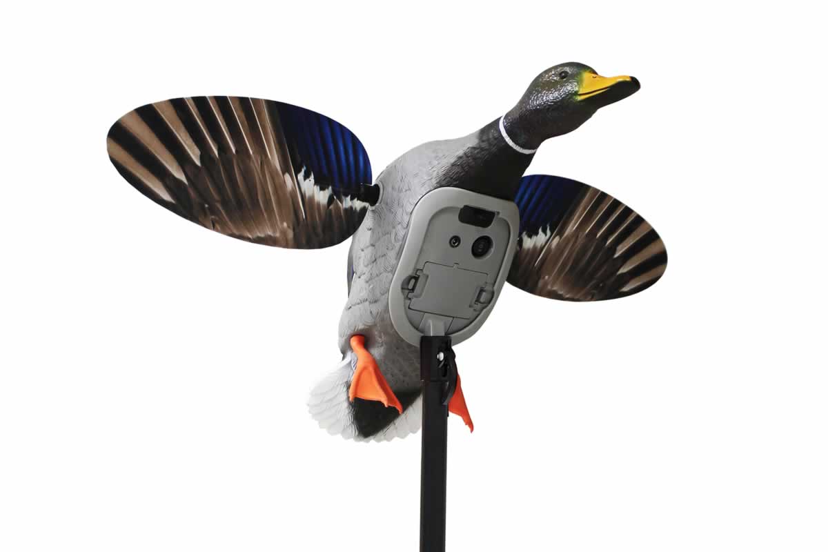 Mojo Mallard®