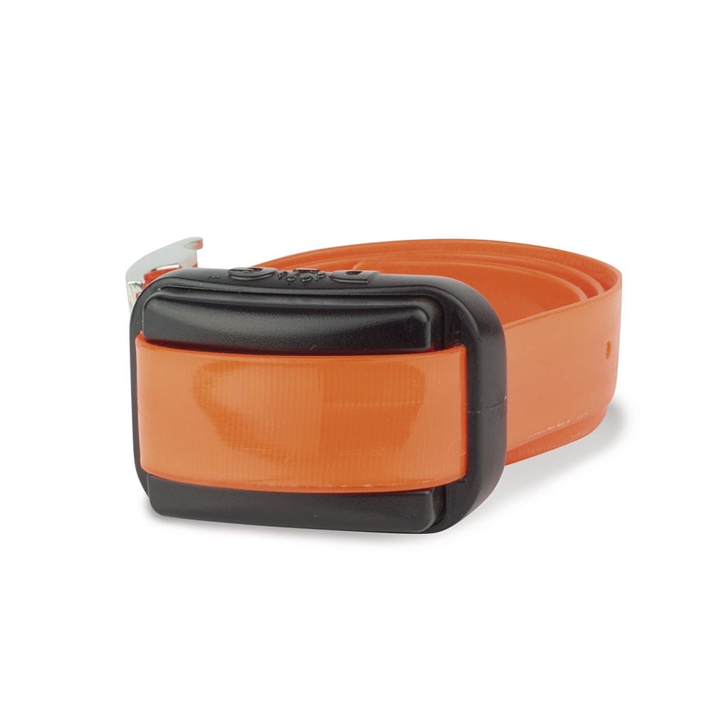 Collar Adicional Professional Mini