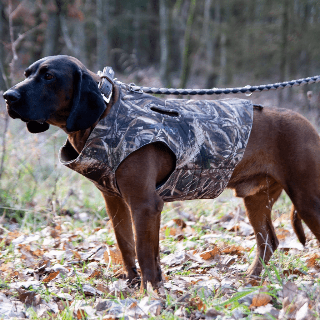 Parka Perros 2 Xl