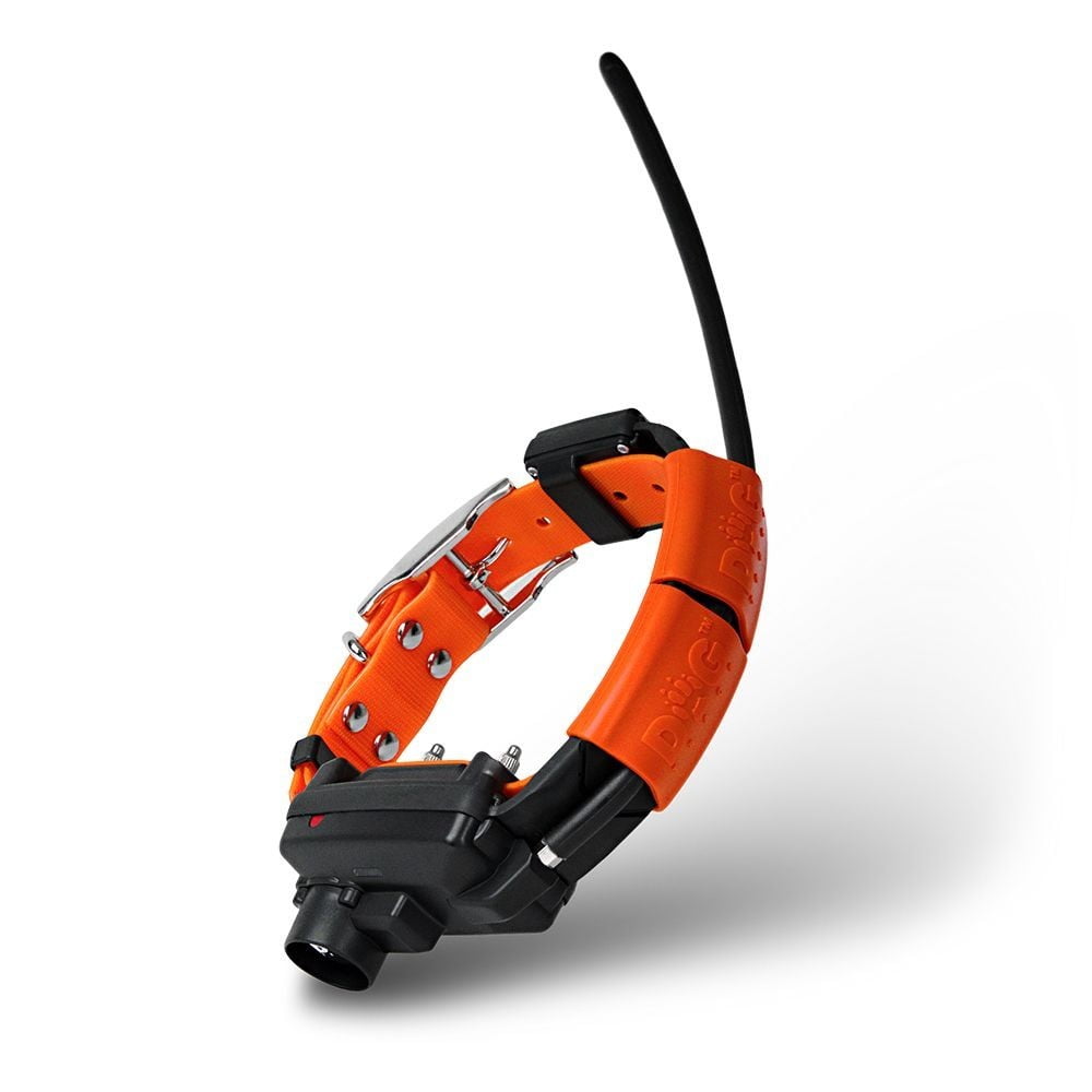 Dog Gps X30-Tb