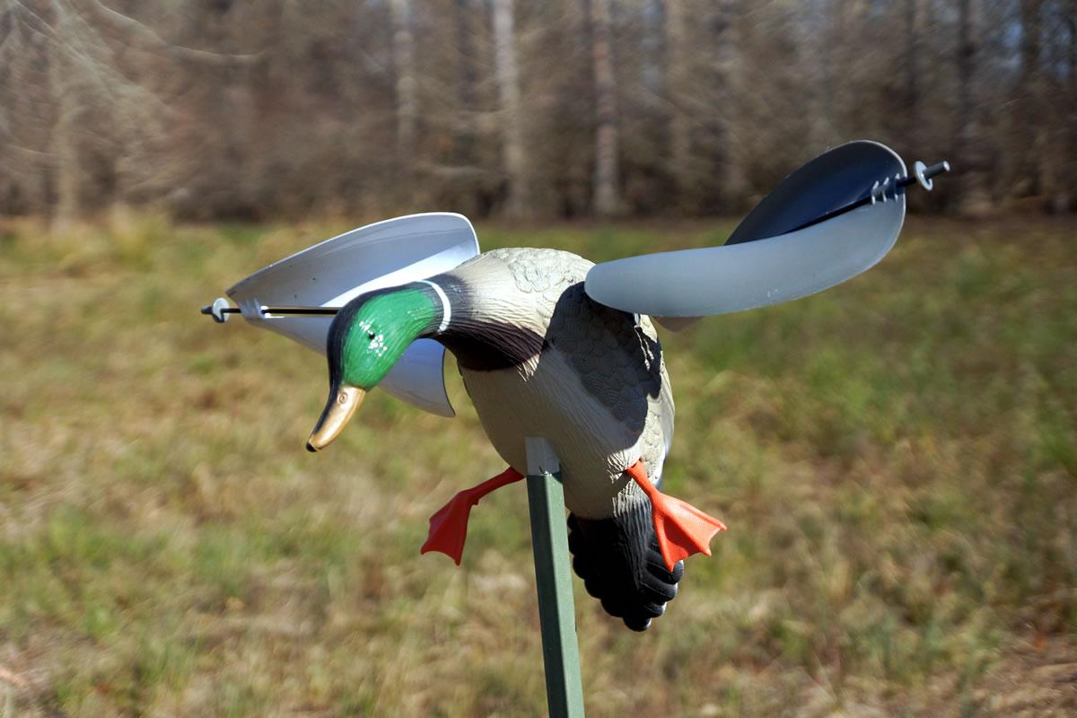 Pato Acción Por Viento Mojo