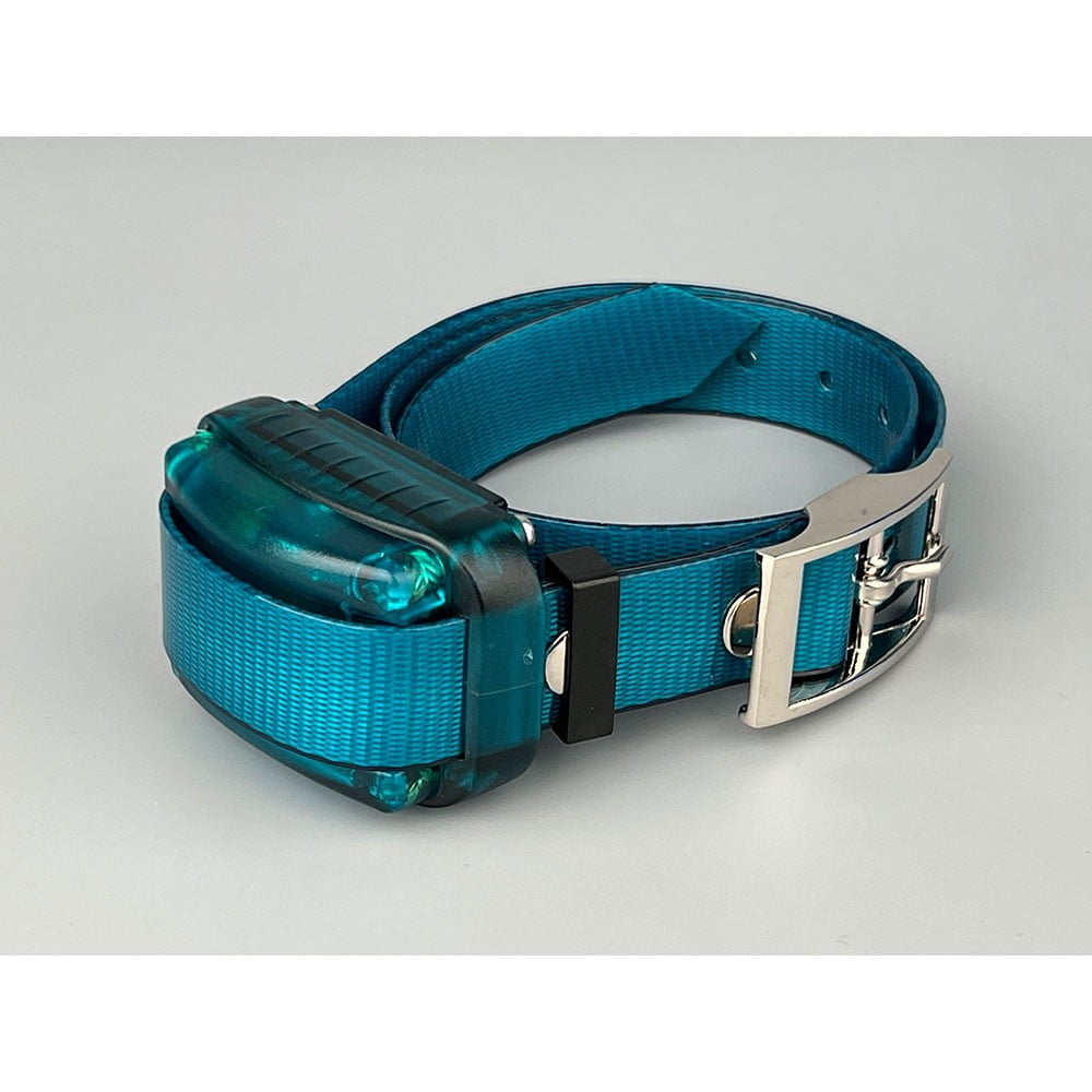 Dogtrace 900 Mini+