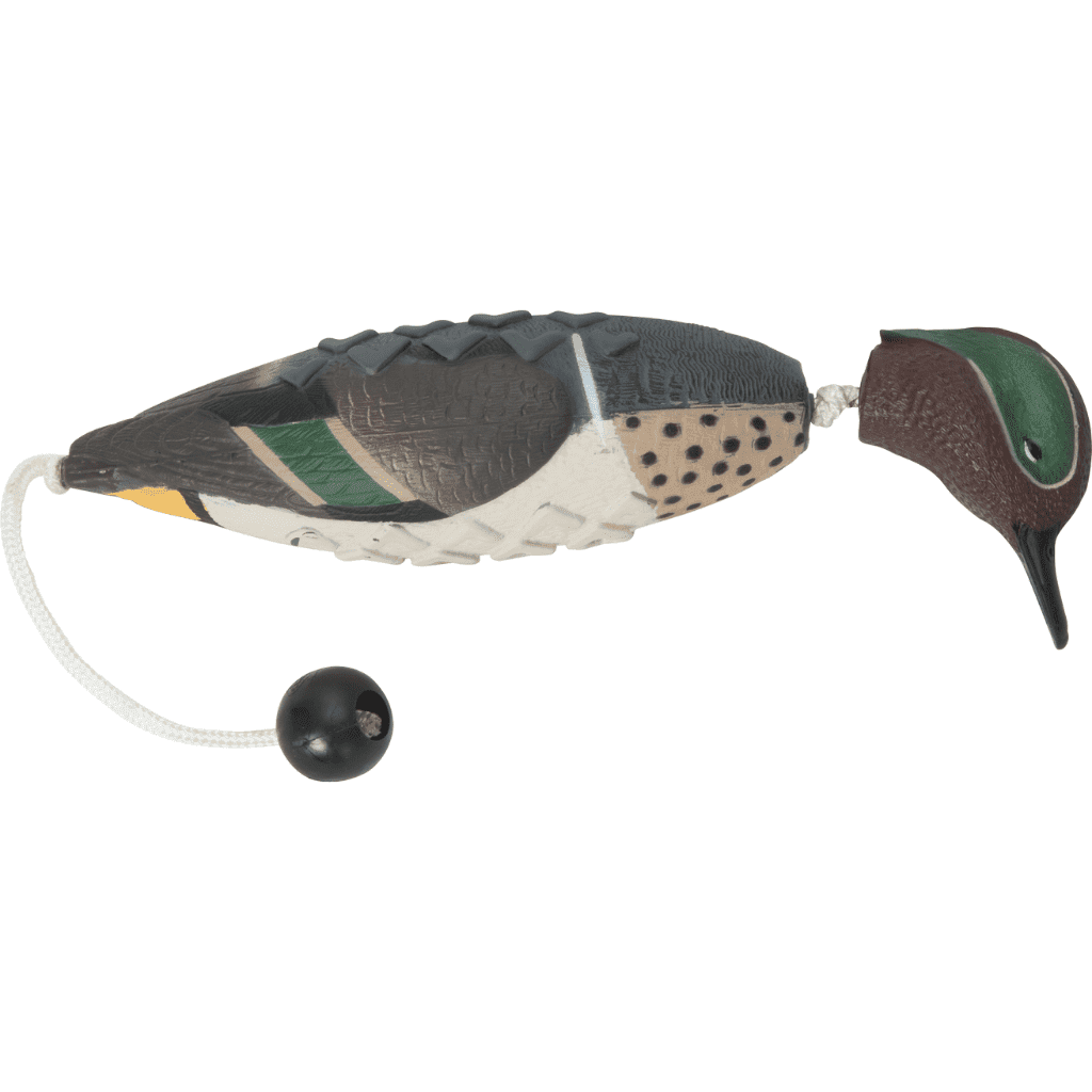 Asd Ez-Bird Mallard